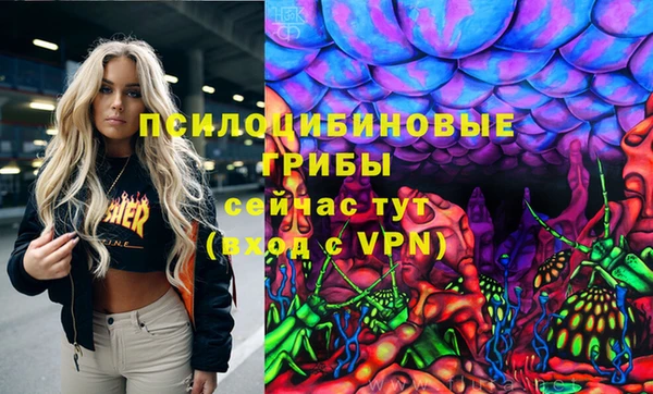 винт Арсеньев
