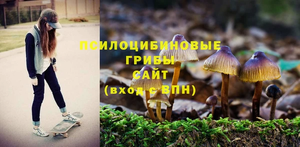 mdpv Балахна