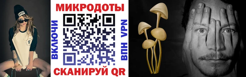 Галлюциногенные грибы Magic Shrooms  Кондрово 