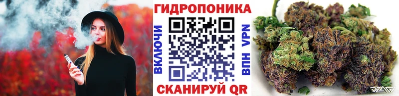 купить наркоту  Кондрово  Шишки марихуана марихуана 